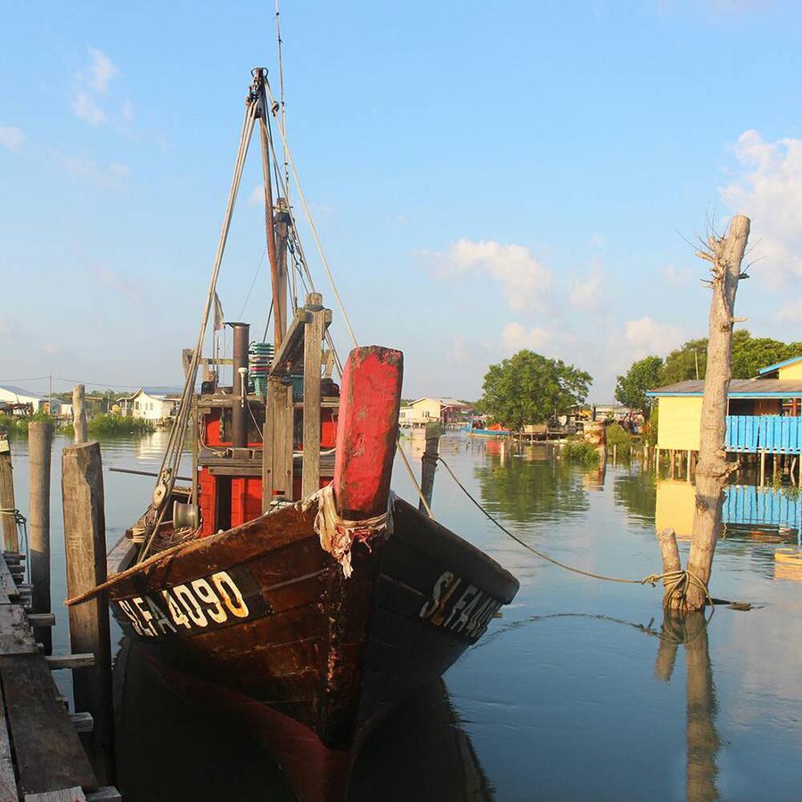 Sea Lion Pulau Ketam Bungalow Homestay Bagan Teochew Bagian luar foto